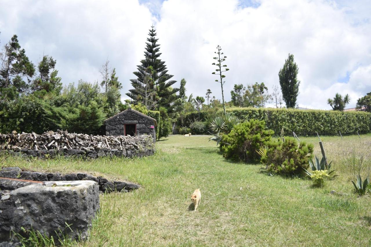 Quinta Da Meia Eira Castelo Branco  Exterior foto