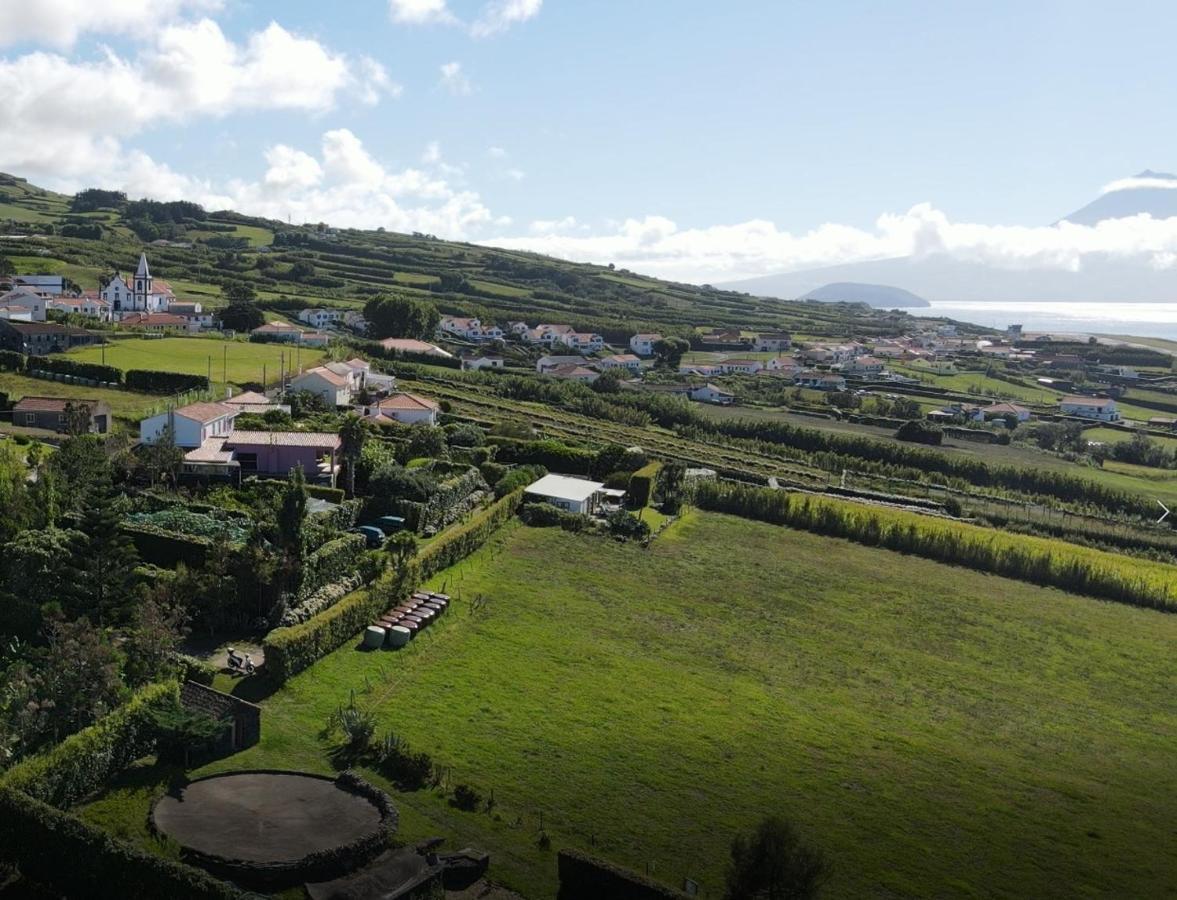 Quinta Da Meia Eira Castelo Branco  Exterior foto