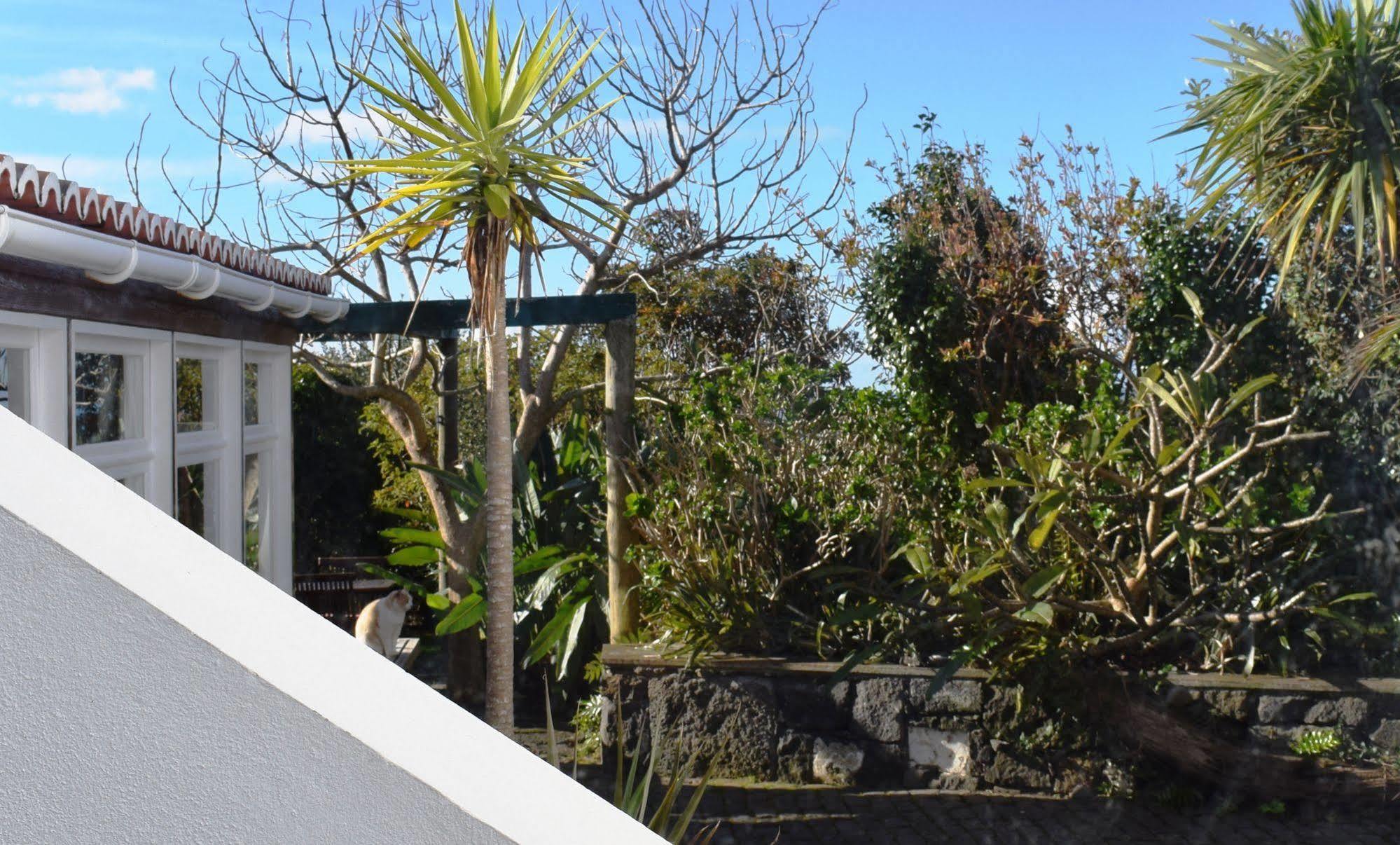 Quinta Da Meia Eira Castelo Branco  Exterior foto